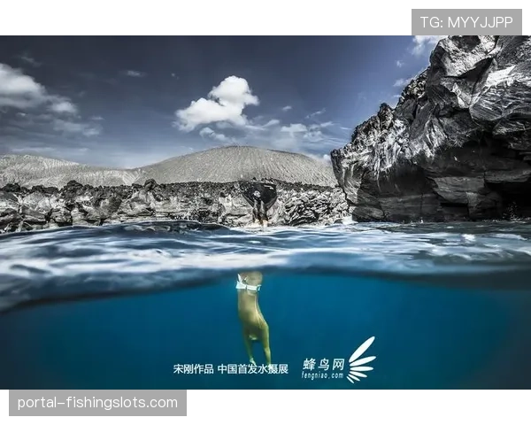 水下镜头背后的故事:专访法国队生物力学分析师团队